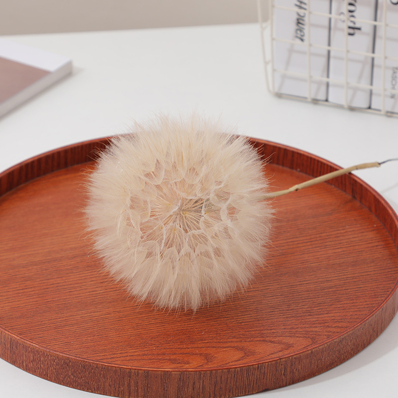 Crafting Resin - Preserved Dandelion DIY Epoxy Resin Craft
