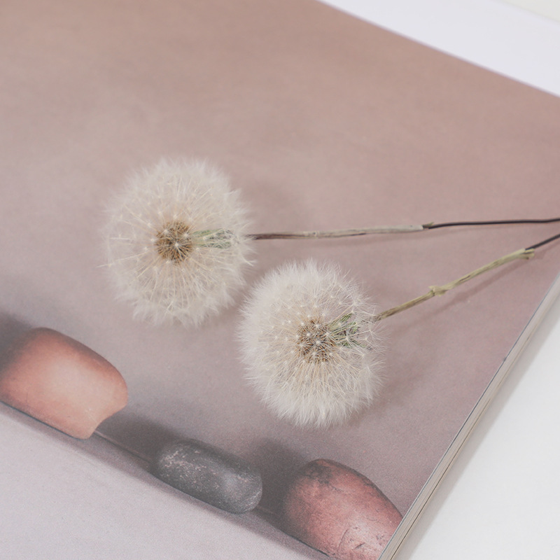 Preserved Dandelion DIY Epoxy  - Crafting Resin review and price