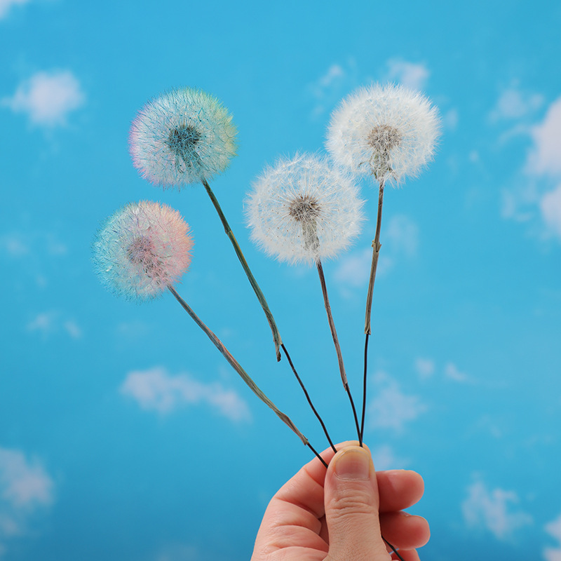 Preserved Dandelion DIY Epoxy  - Crafting Resin review and price